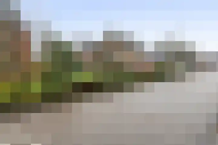 Buitenweg 1 a Maurik thumbnail 56