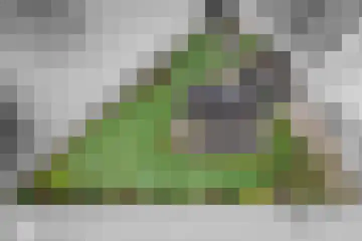 Buitenweg 1 a Maurik thumbnail 6