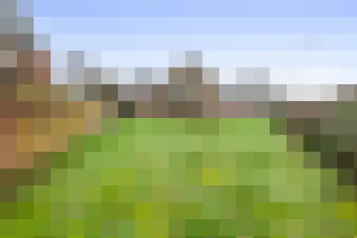 Buitenweg 1 a Maurik thumbnail 61
