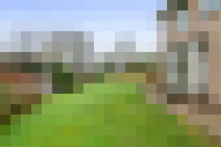 Buitenweg 1 a Maurik thumbnail 62