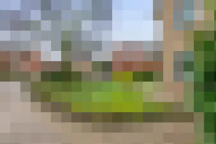 Buitenweg 1 a Maurik thumbnail 63