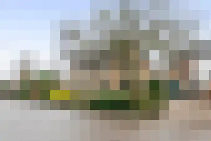 Buitenweg 1 a Maurik thumbnail 7