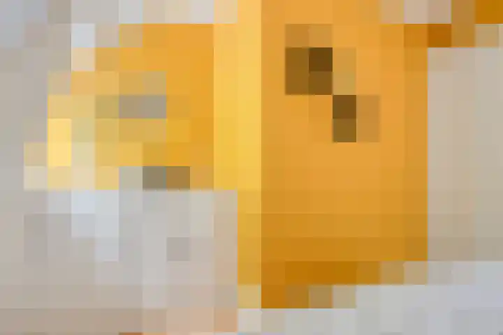 Buitenweg 11 Krimpen aan de Lek thumbnail 23