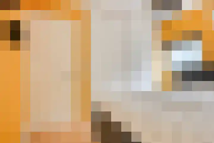 Buitenweg 11 Krimpen aan de Lek thumbnail 24