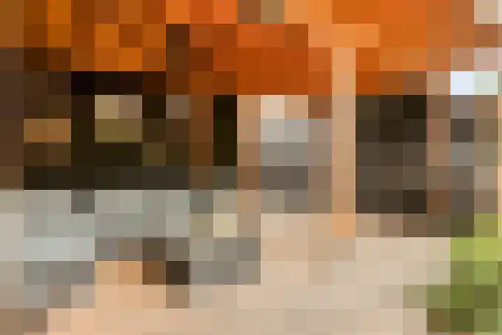 Buitenweg 11 Krimpen aan de Lek thumbnail 30