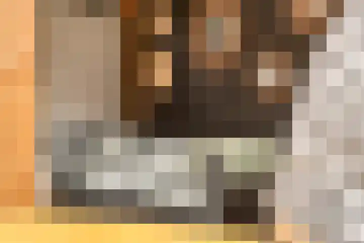 Buitenweg 11 Krimpen aan de Lek thumbnail 32