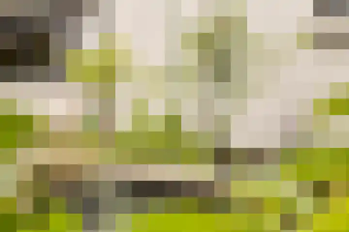 Buitenweg 11 Krimpen aan de Lek thumbnail 33