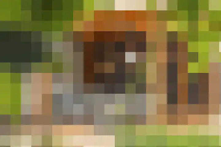 Buitenweg 11 Krimpen aan de Lek thumbnail 34
