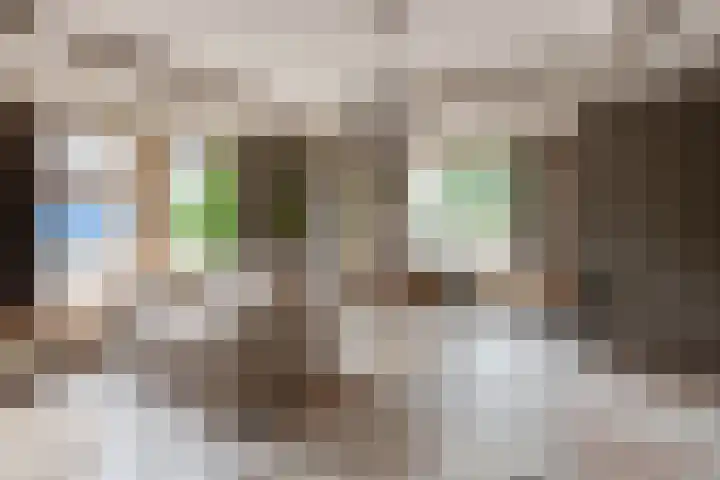 Buitenweg 12 Maurik thumbnail 15