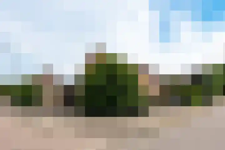 Buitenweg 12 Maurik thumbnail 6