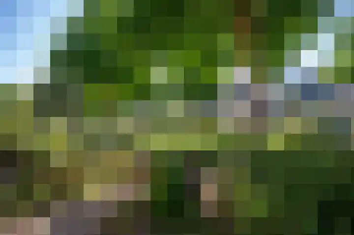 Buitenweg 164 Maarssen thumbnail 8