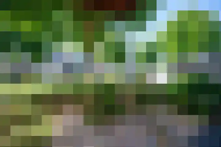 Buitenweg 164 Maarssen thumbnail 9