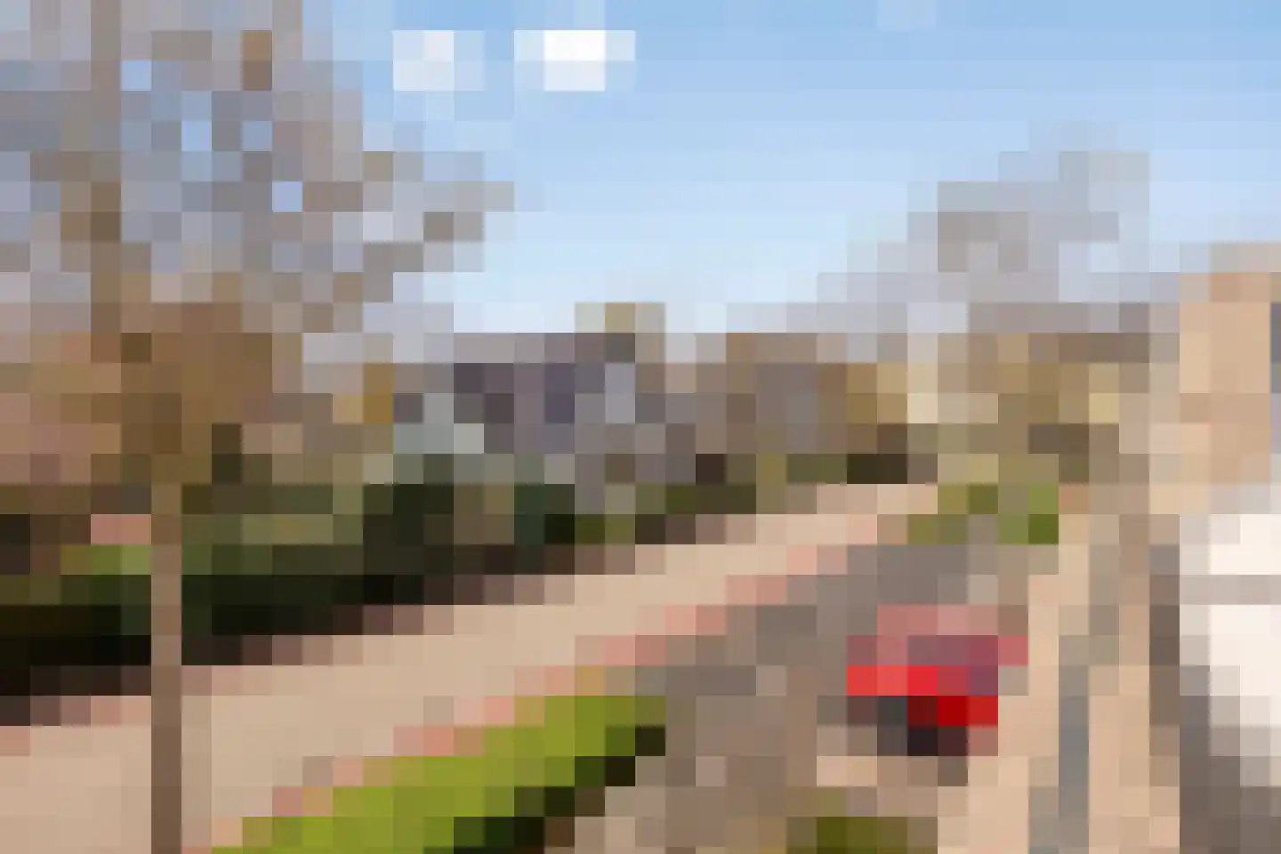 Buitenweg 176 Maarssen thumbnail 17