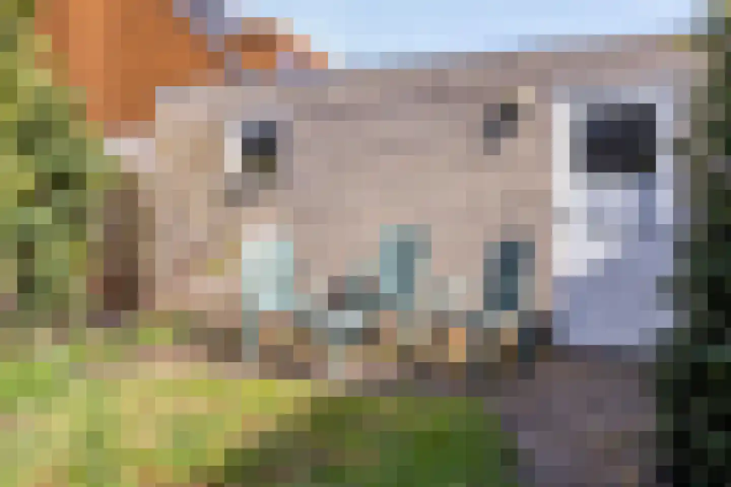 Buitenweg 176 Maarssen thumbnail 28