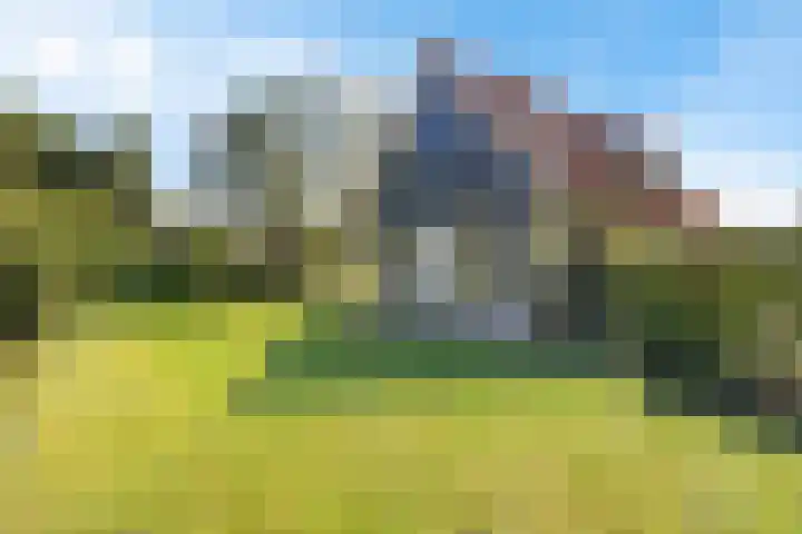 Buitenweg 18 Nieuwehorne thumbnail 11