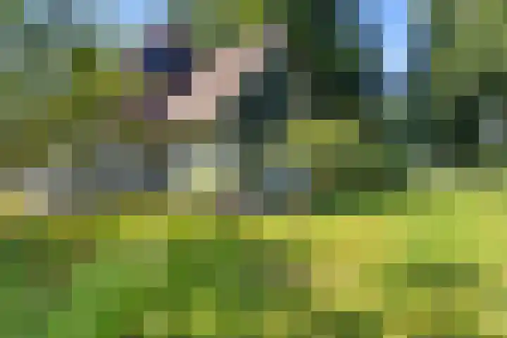 Buitenweg 18 Nieuwehorne thumbnail 12
