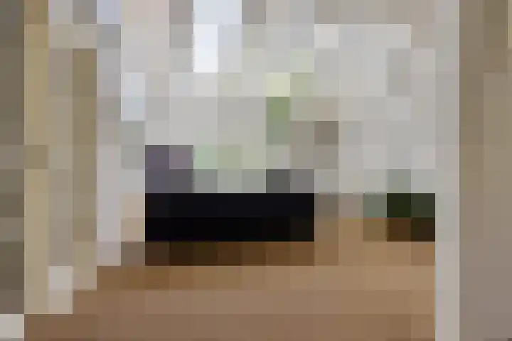 Buitenweg 18 Nieuwehorne thumbnail 15