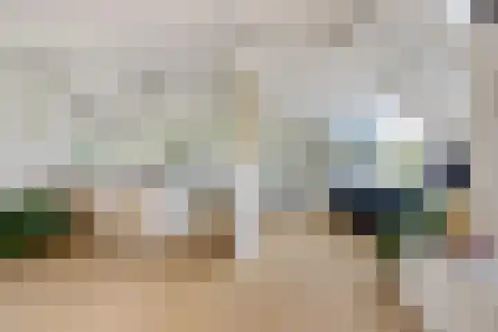 Buitenweg 18 Nieuwehorne thumbnail 19