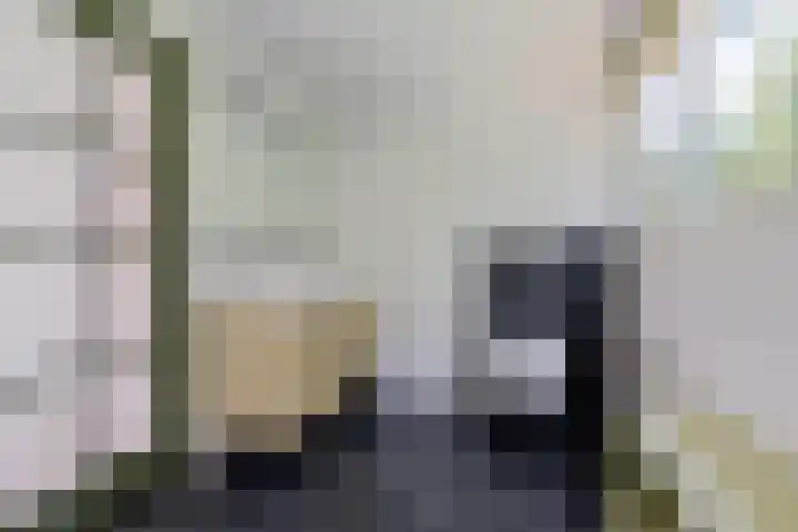 Buitenweg 18 Nieuwehorne thumbnail 22