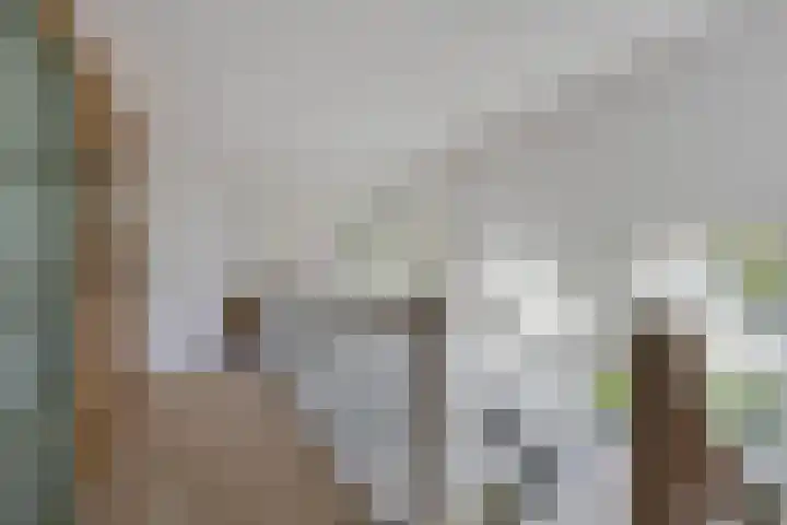 Buitenweg 18 Nieuwehorne thumbnail 23