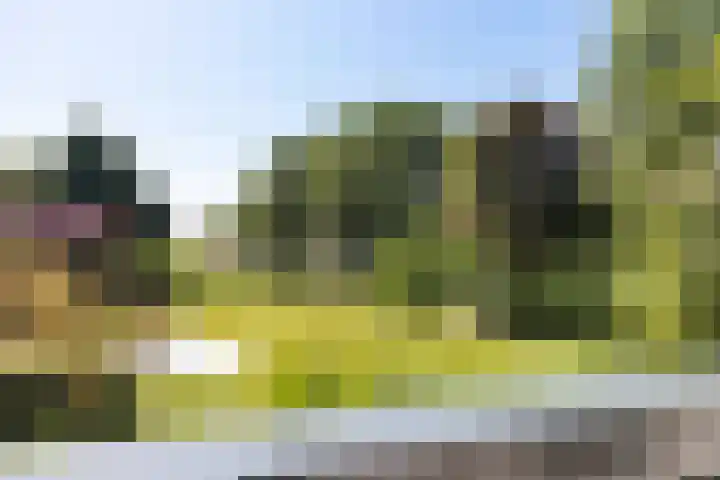 Buitenweg 18 Nieuwehorne thumbnail 27