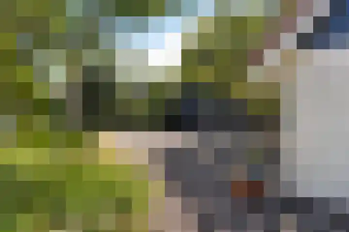 Buitenweg 18 Nieuwehorne thumbnail 30