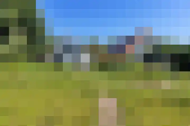 Buitenweg 18 Nieuwehorne thumbnail 31
