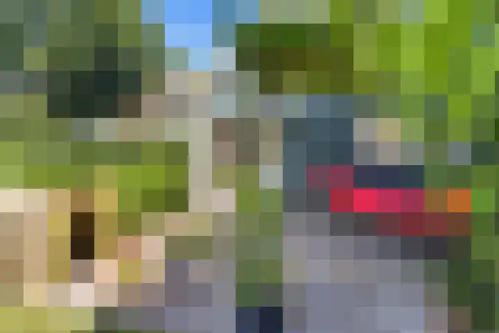 Buitenweg 18 Nieuwehorne thumbnail 32