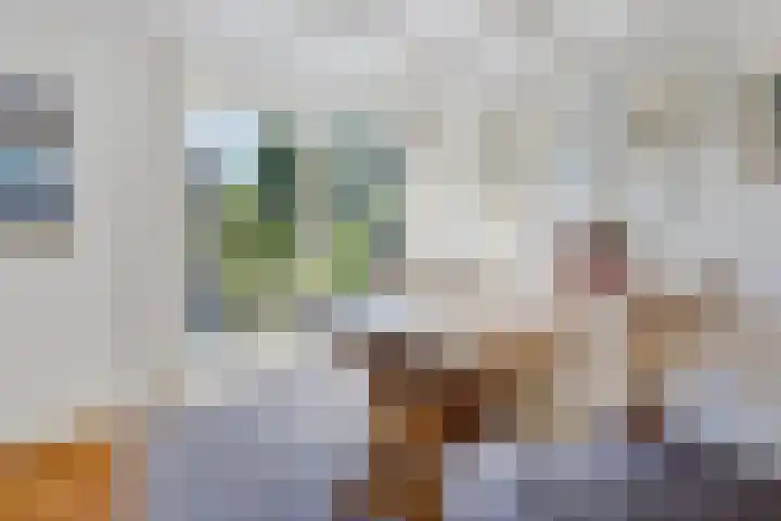 Buitenweg 18 Nieuwehorne thumbnail 34