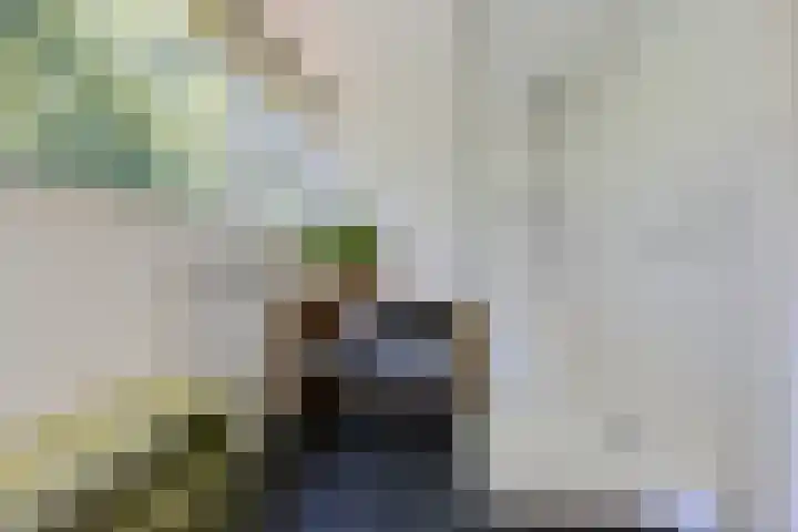 Buitenweg 18 Nieuwehorne thumbnail 4