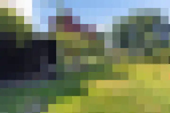 Buitenweg 18 Nieuwehorne thumbnail 43