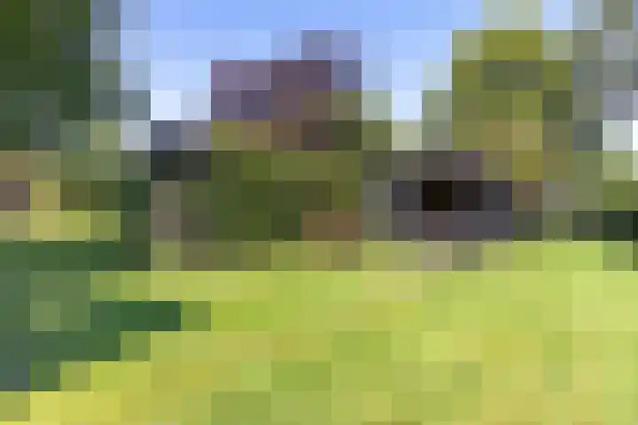 Buitenweg 18 Nieuwehorne thumbnail 44