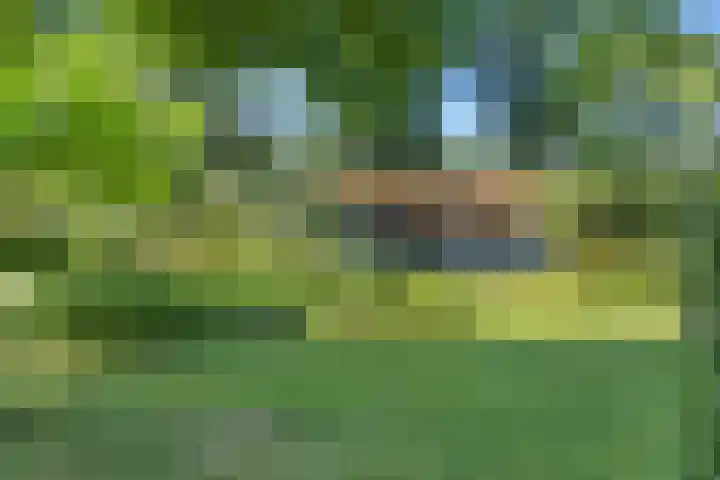 Buitenweg 18 Nieuwehorne thumbnail 45