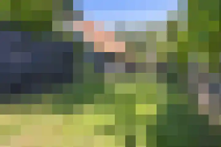 Buitenweg 18 Nieuwehorne thumbnail 46