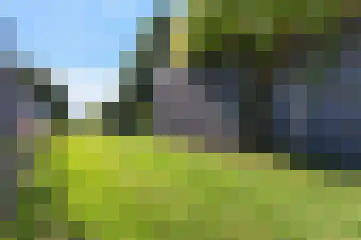 Buitenweg 18 Nieuwehorne thumbnail 47
