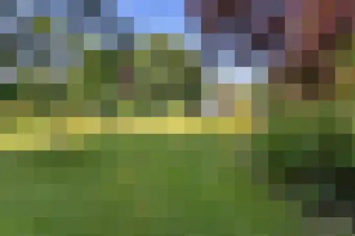 Buitenweg 18 Nieuwehorne thumbnail 49