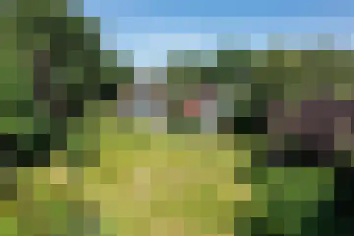 Buitenweg 18 Nieuwehorne thumbnail 5