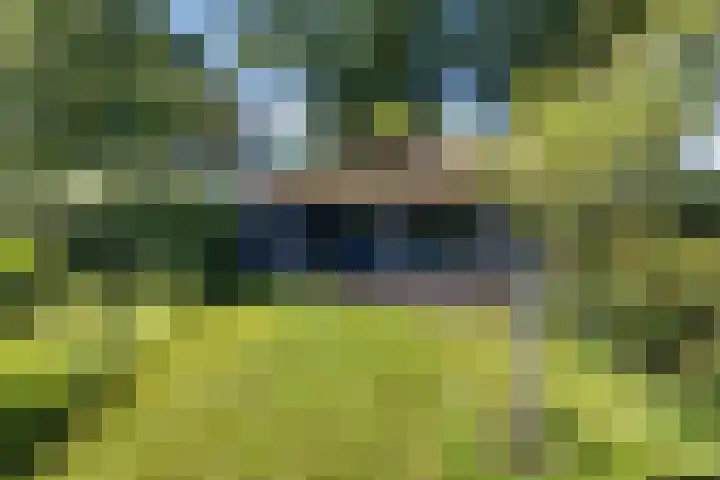 Buitenweg 18 Nieuwehorne thumbnail 50
