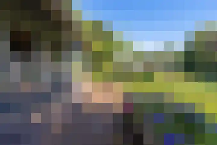 Buitenweg 18 Nieuwehorne thumbnail 51