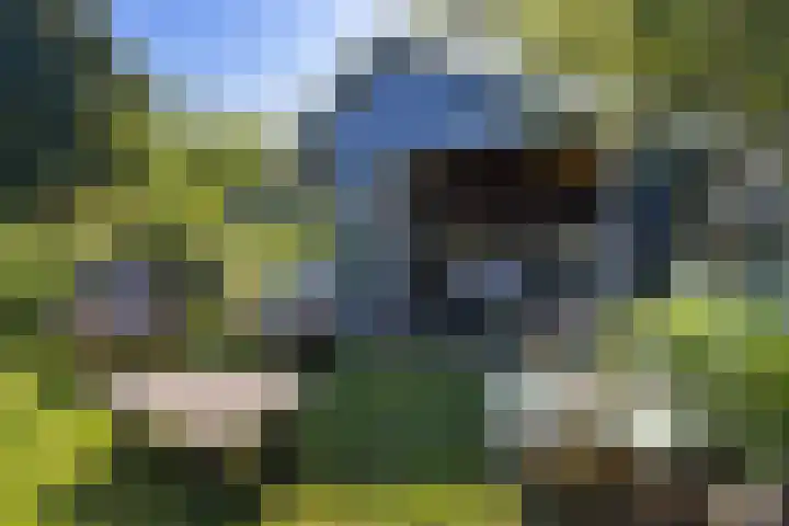 Buitenweg 18 Nieuwehorne thumbnail 52