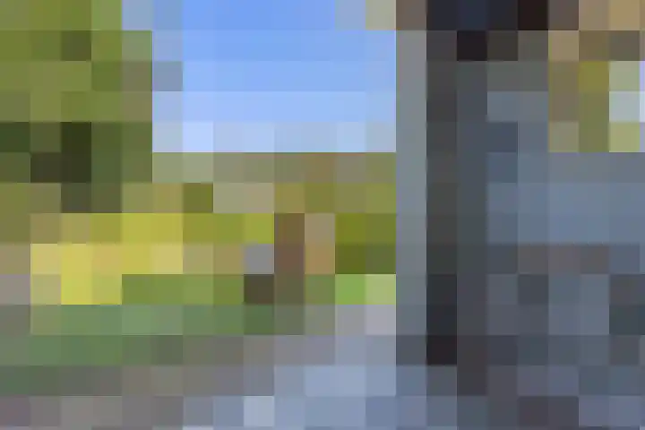 Buitenweg 18 Nieuwehorne thumbnail 54