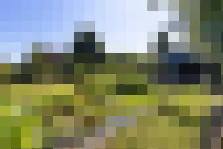 Buitenweg 18 Nieuwehorne thumbnail 55