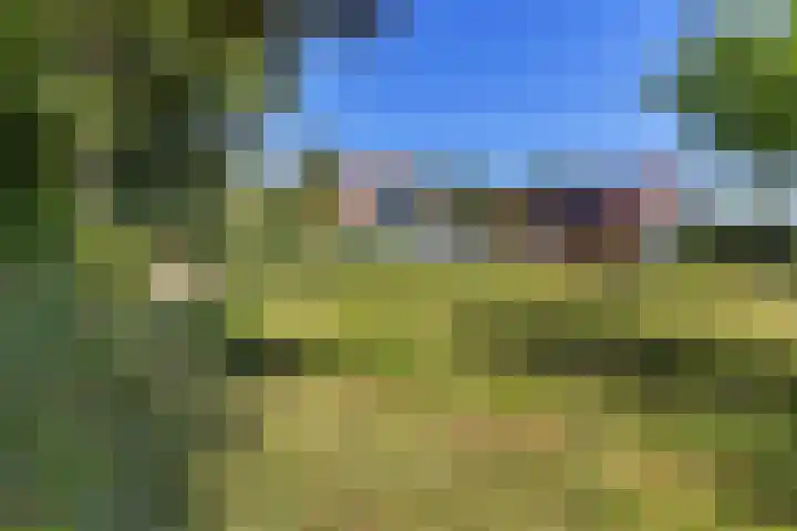 Buitenweg 18 Nieuwehorne thumbnail 56