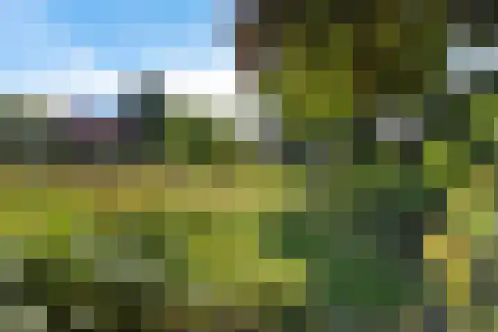 Buitenweg 18 Nieuwehorne thumbnail 57