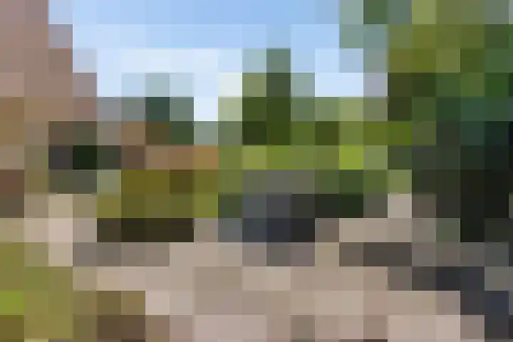 Buitenweg 18 Nieuwehorne thumbnail 59