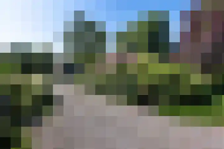 Buitenweg 18 Nieuwehorne thumbnail 6