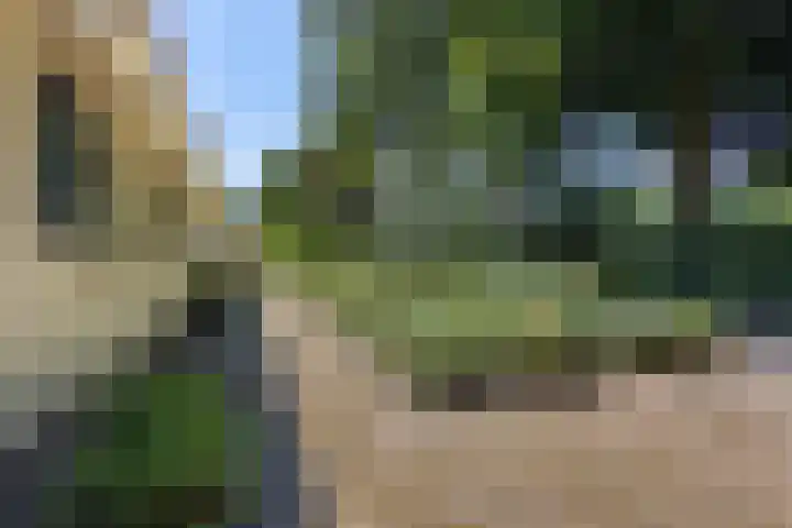 Buitenweg 18 Nieuwehorne thumbnail 62
