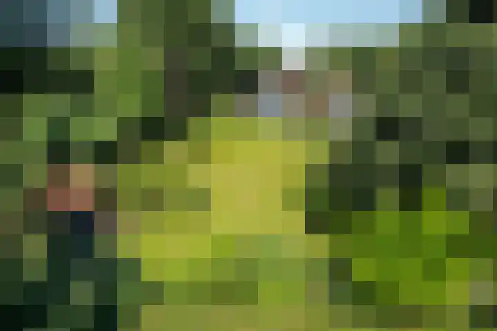 Buitenweg 18 Nieuwehorne thumbnail 63