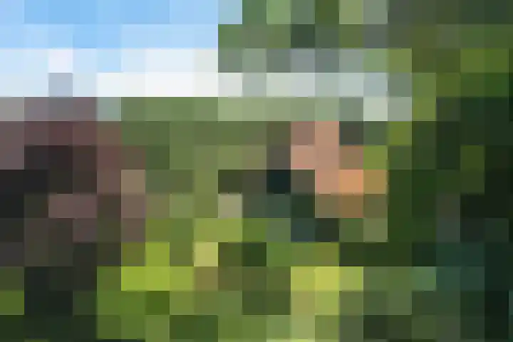 Buitenweg 18 Nieuwehorne thumbnail 65