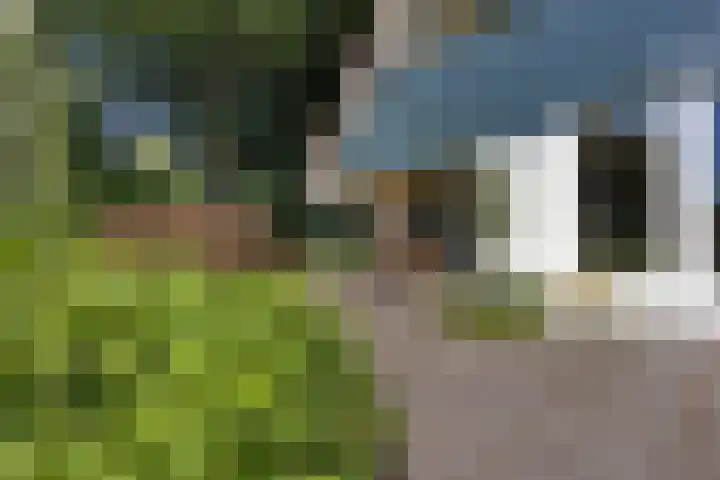 Buitenweg 18 Nieuwehorne thumbnail 9
